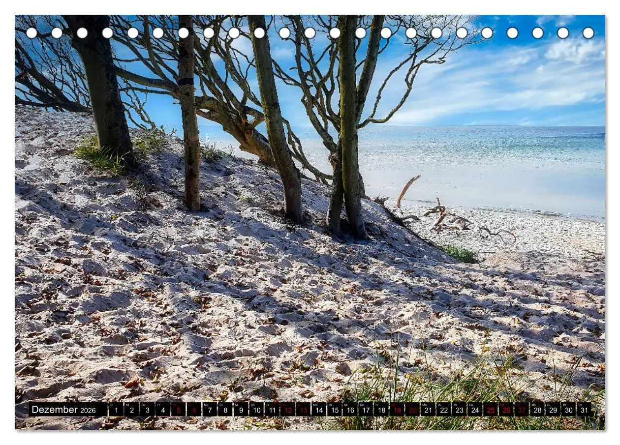 Bild: 9783457619056 | Fischland - Darß- Zingst (Tischkalender 2026 DIN A5 quer), CALVENDO...
