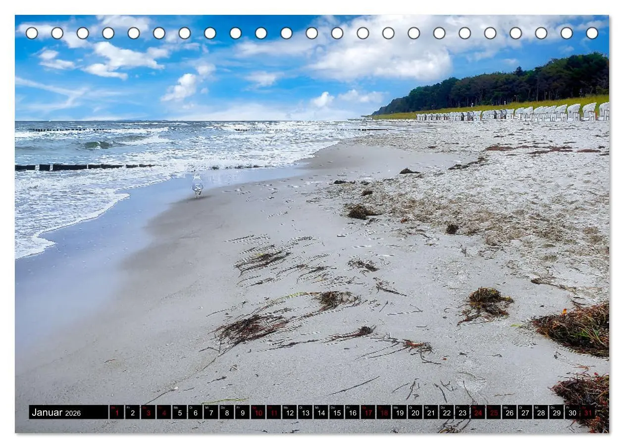 Bild: 9783457619056 | Fischland - Darß- Zingst (Tischkalender 2026 DIN A5 quer), CALVENDO...
