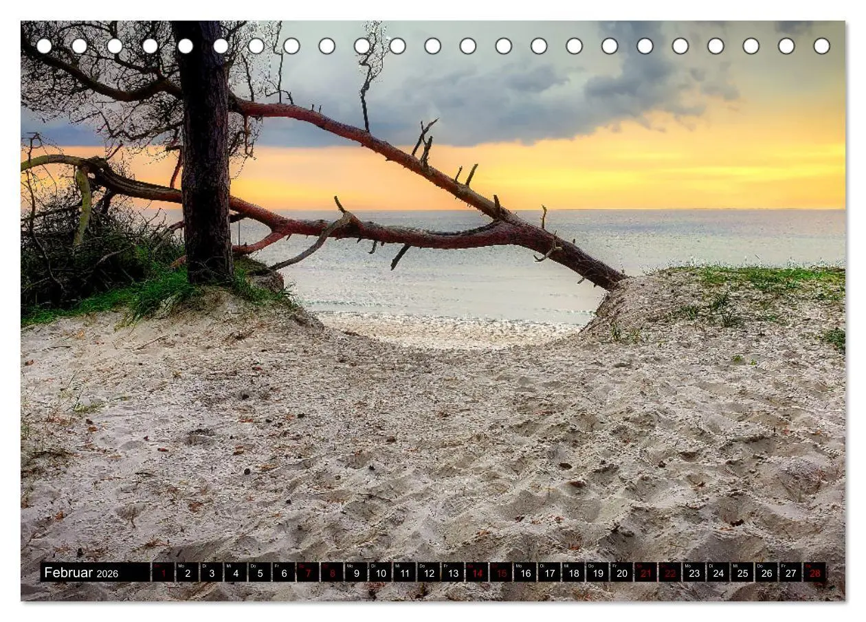 Bild: 9783457619056 | Fischland - Darß- Zingst (Tischkalender 2026 DIN A5 quer), CALVENDO...