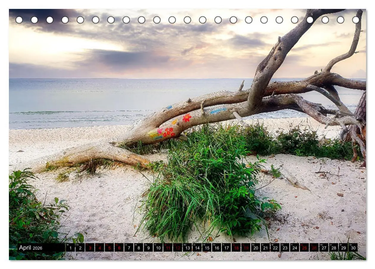 Bild: 9783457619056 | Fischland - Darß- Zingst (Tischkalender 2026 DIN A5 quer), CALVENDO...