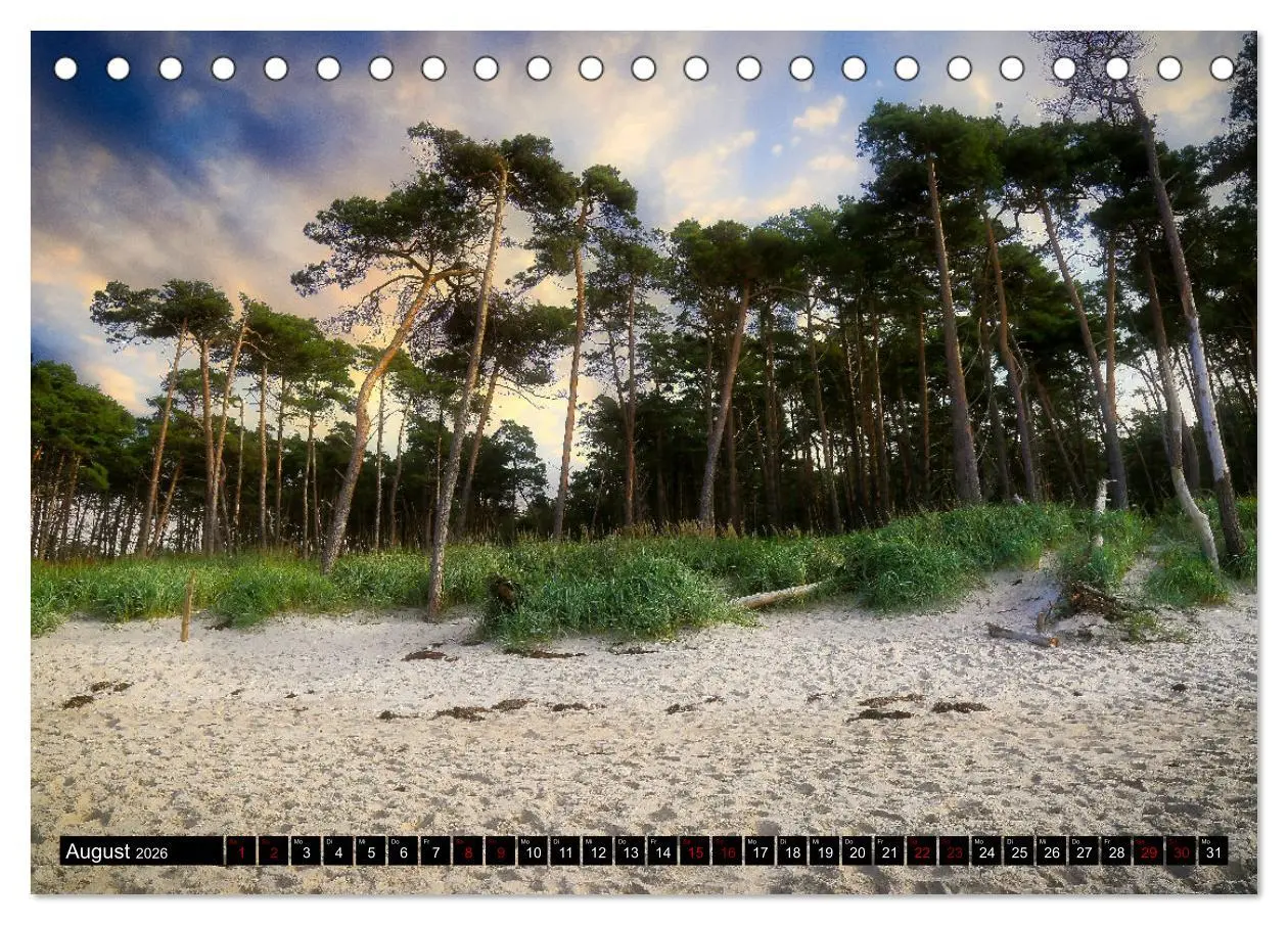 Bild: 9783457619056 | Fischland - Darß- Zingst (Tischkalender 2026 DIN A5 quer), CALVENDO...