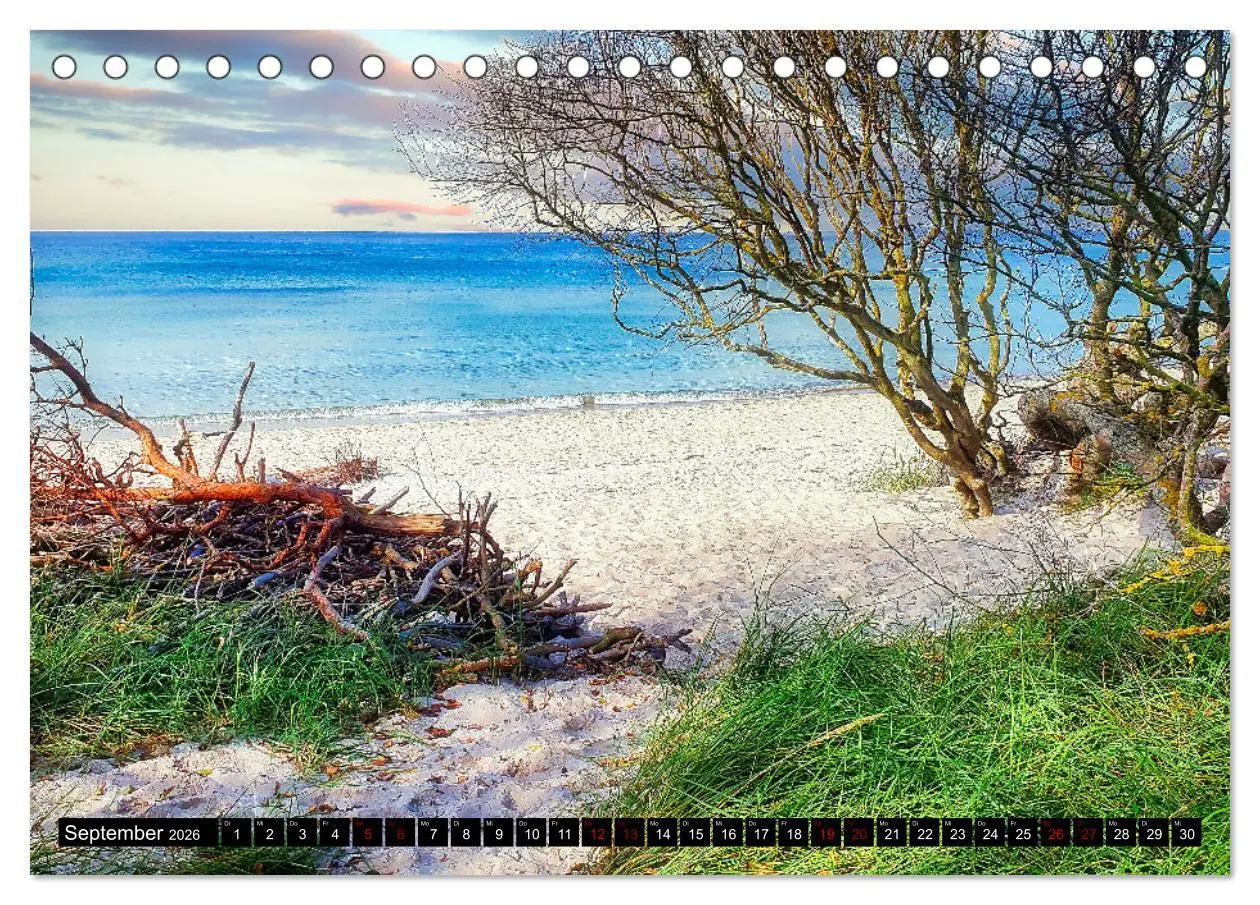 Bild: 9783457619056 | Fischland - Darß- Zingst (Tischkalender 2026 DIN A5 quer), CALVENDO...