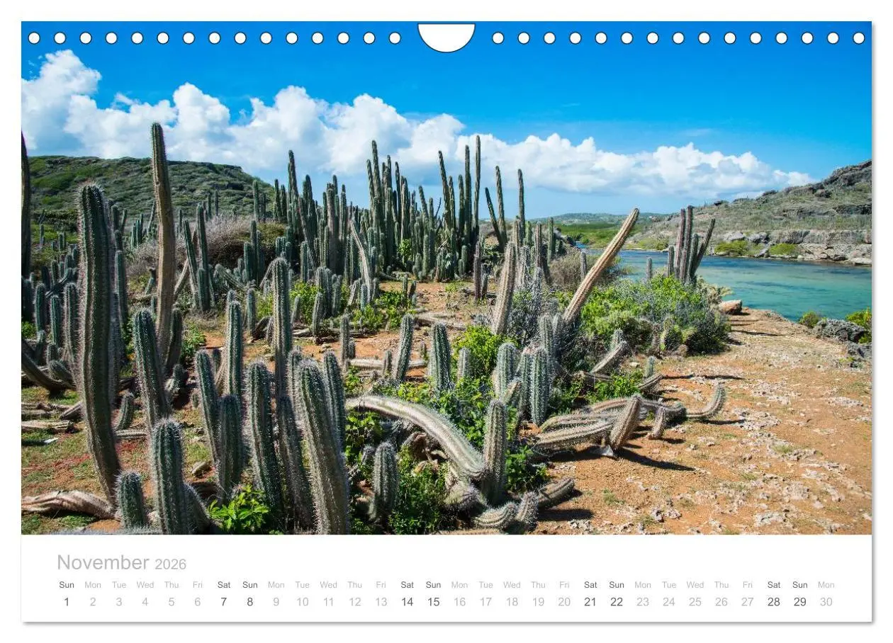 Bild: 9783516569056 | Curacao - Tropical Island (Wall Calendar 2026 DIN A4 landscape),...