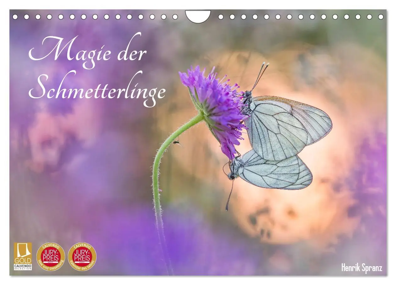 Cover: 9783457779156 | Magie der Schmetterlinge (Wandkalender 2026 DIN A4 quer), CALVENDO...