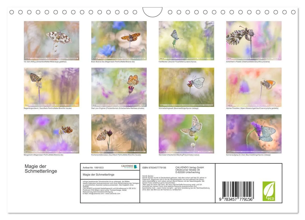 Bild: 9783457779156 | Magie der Schmetterlinge (Wandkalender 2026 DIN A4 quer), CALVENDO...