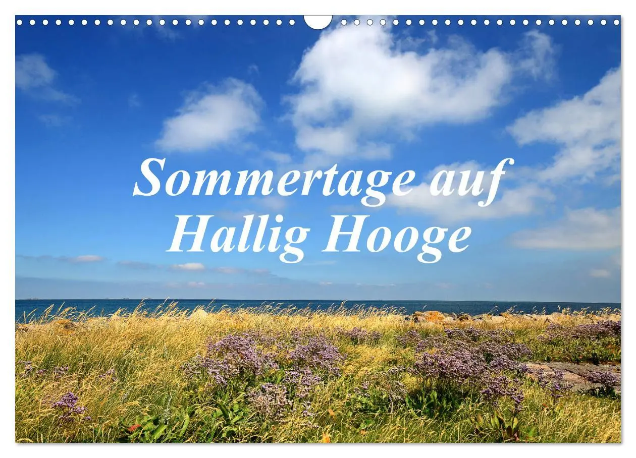 Cover: 9783457919156 | Sommertage auf Hallig Hooge (Wandkalender 2026 DIN A3 quer),...