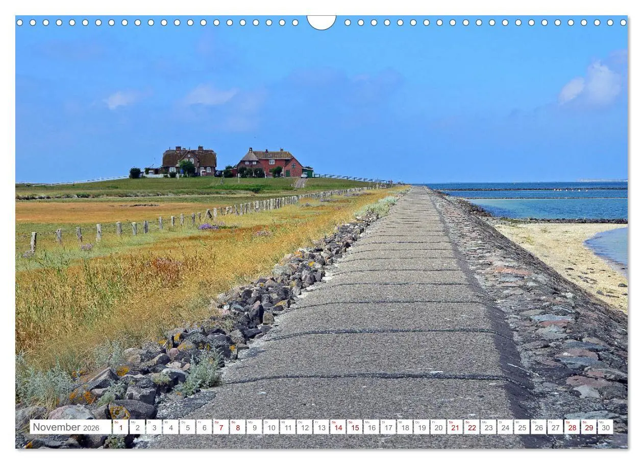 Bild: 9783457919156 | Sommertage auf Hallig Hooge (Wandkalender 2026 DIN A3 quer),...