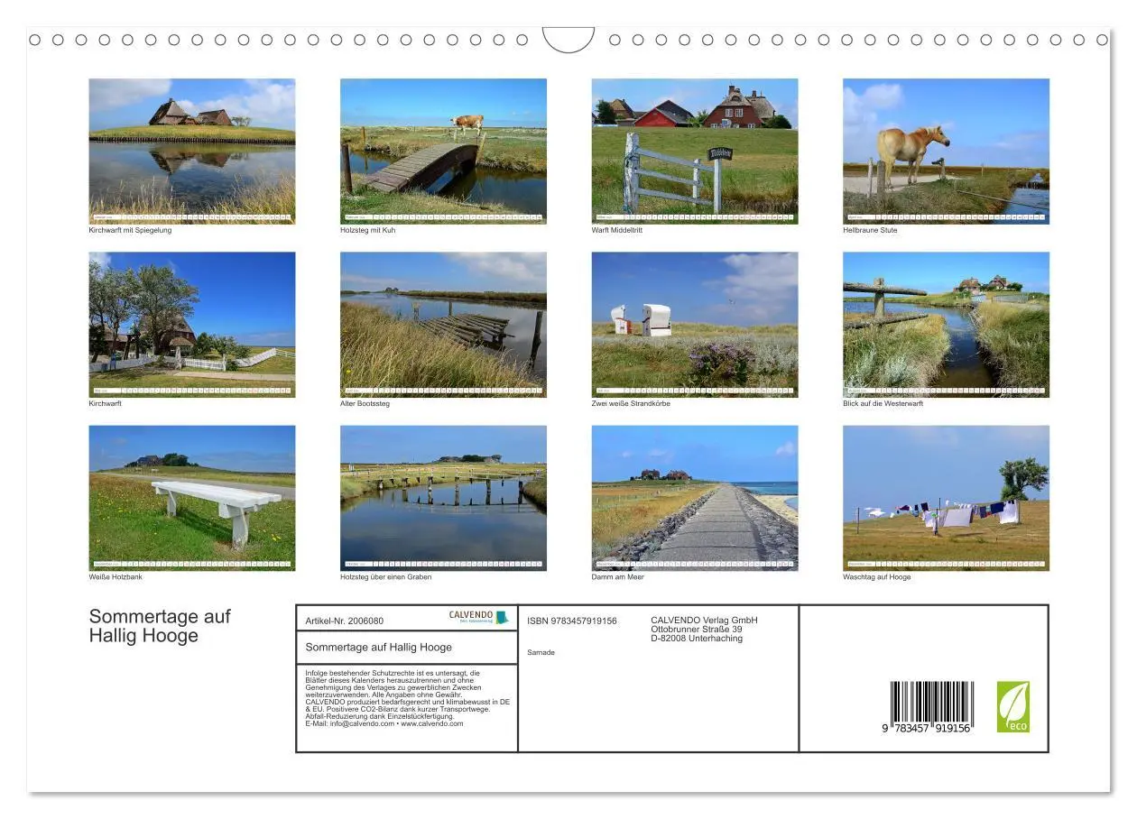 Bild: 9783457919156 | Sommertage auf Hallig Hooge (Wandkalender 2026 DIN A3 quer),...