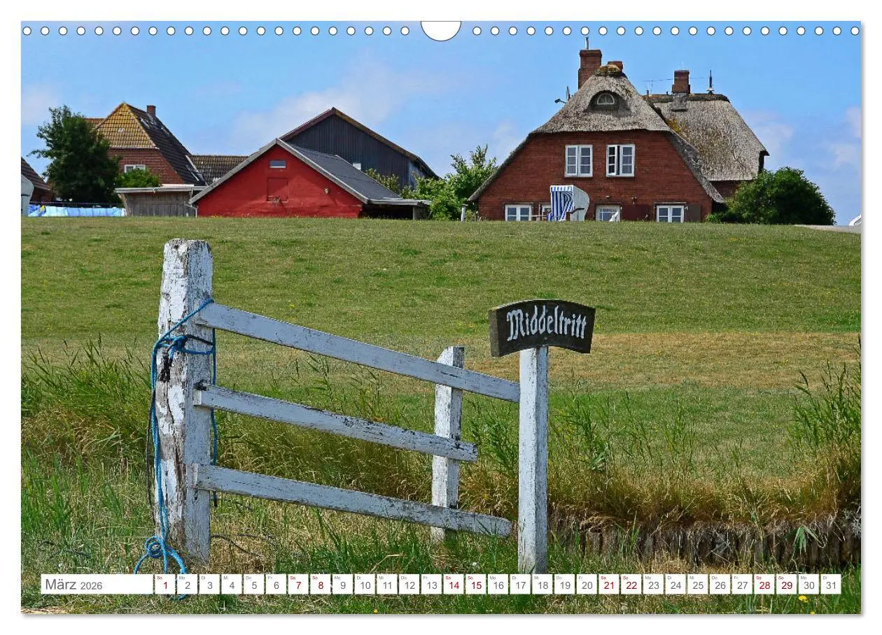Bild: 9783457919156 | Sommertage auf Hallig Hooge (Wandkalender 2026 DIN A3 quer),...