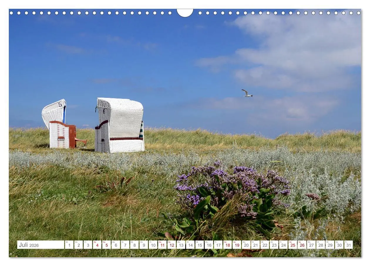 Bild: 9783457919156 | Sommertage auf Hallig Hooge (Wandkalender 2026 DIN A3 quer),...