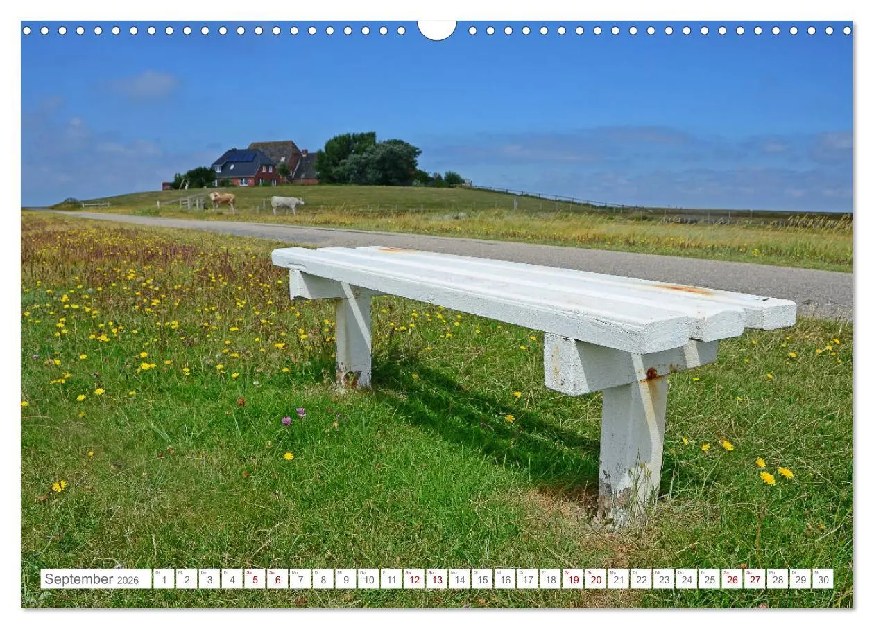 Bild: 9783457919156 | Sommertage auf Hallig Hooge (Wandkalender 2026 DIN A3 quer),...