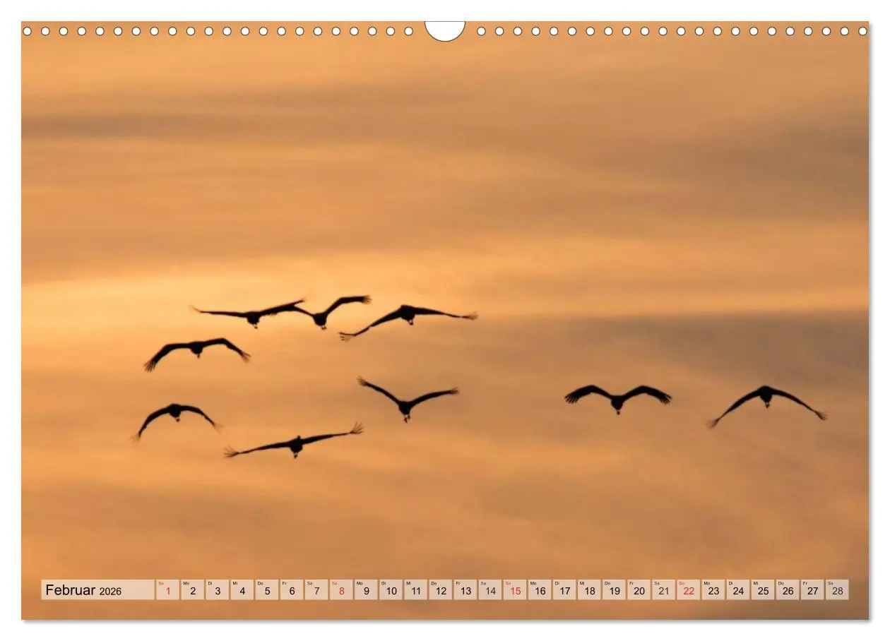 Bild: 9783516009156 | Kraniche auf dem Weg nach Süden (Wandkalender 2026 DIN A3 quer),...