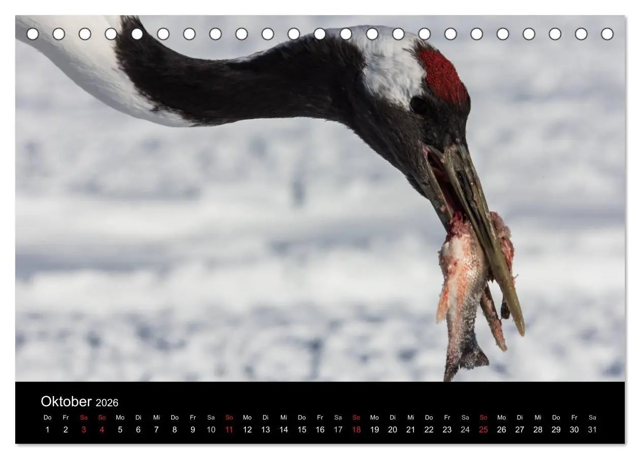 Bild: 9783516179156 | Mandschurenkraniche (Tischkalender 2026 DIN A5 quer), CALVENDO...