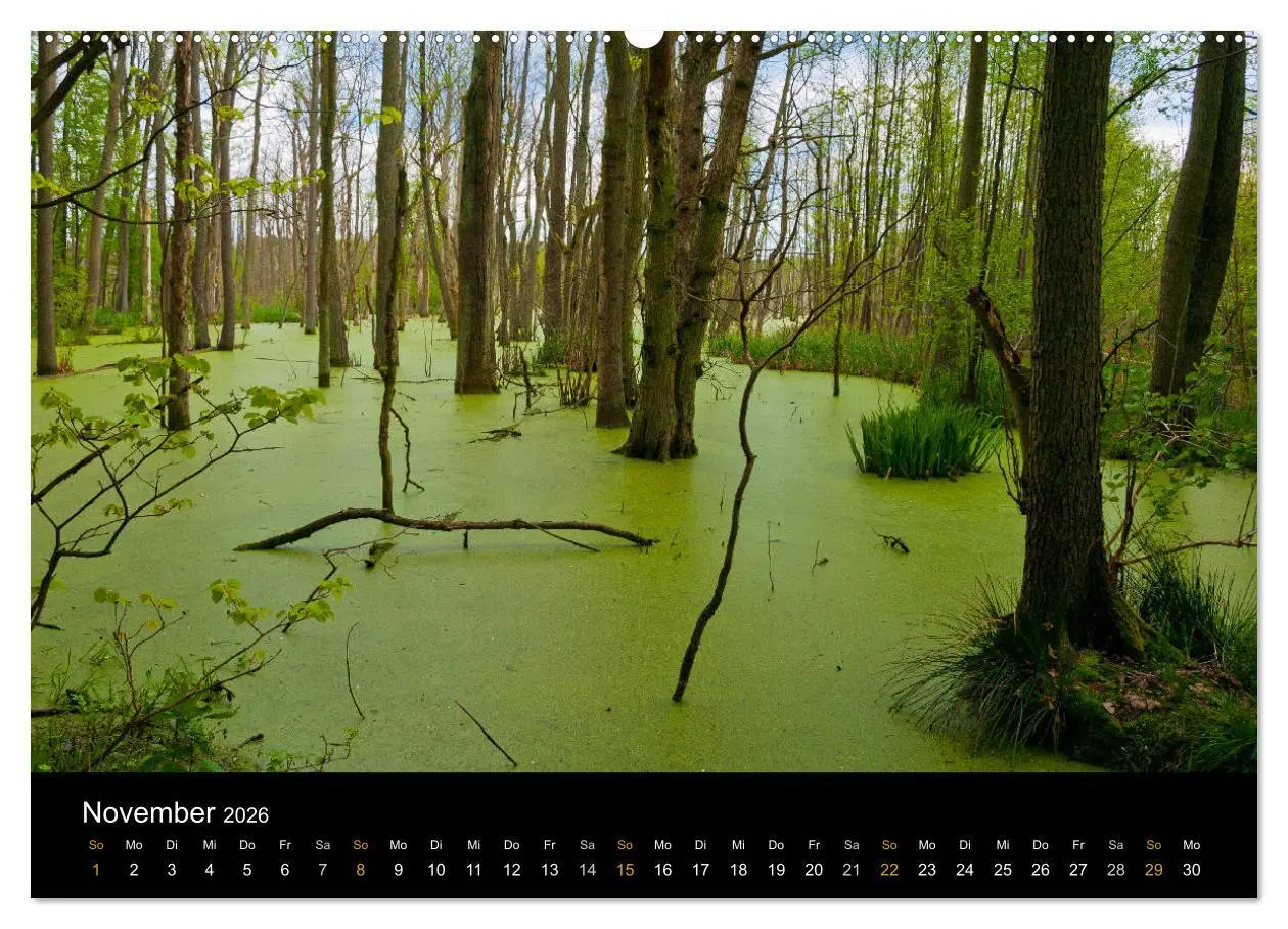 Bild: 9783457909256 | Brandenburg - Landschaften zwischen Elbe und Oder (Wandkalender...
