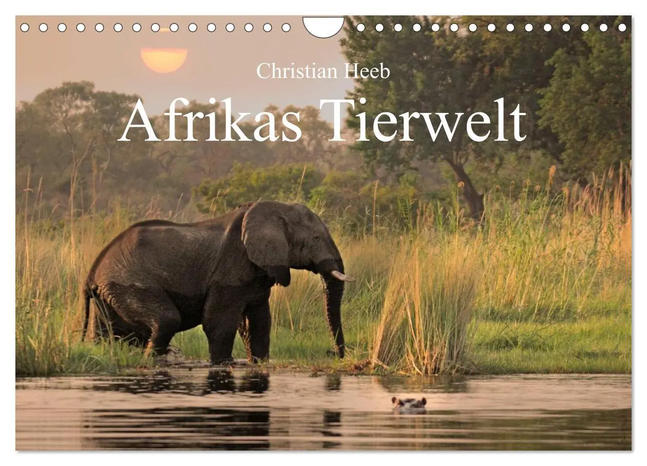 Cover: 9783516239256 | Afrikas Tierwelt Christian Heeb (Wandkalender 2026 DIN A4 quer),...