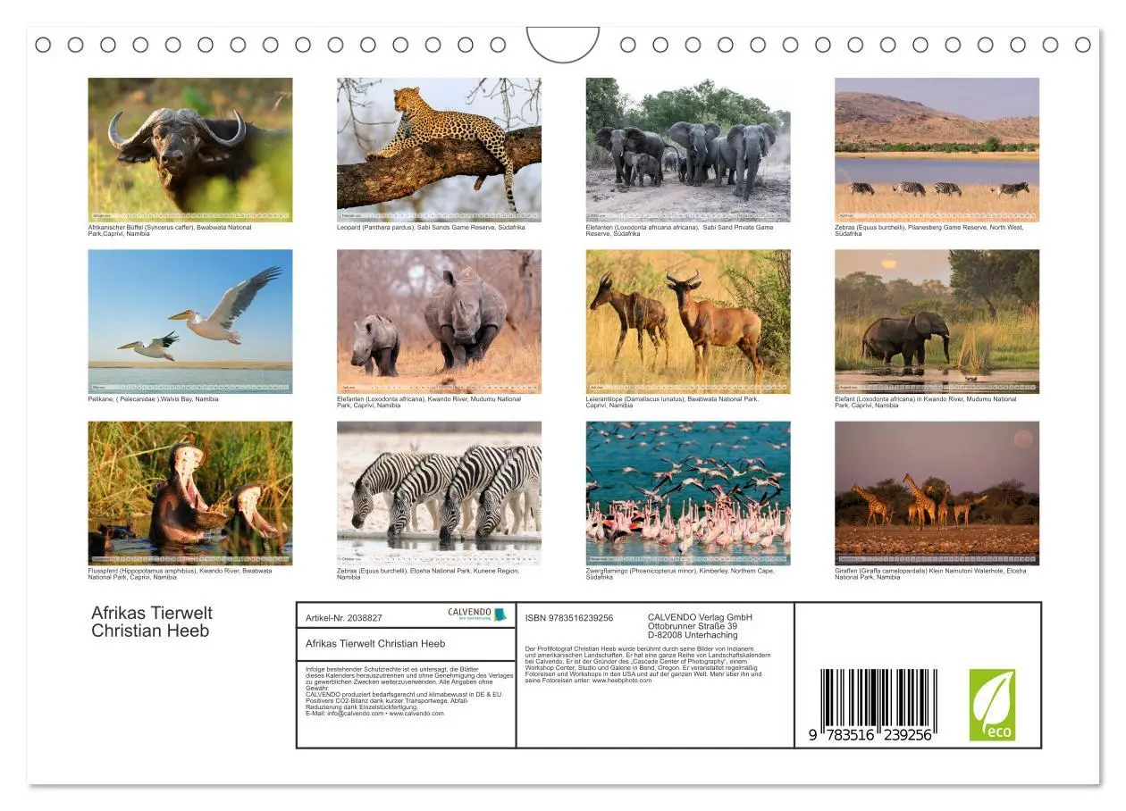 Bild: 9783516239256 | Afrikas Tierwelt Christian Heeb (Wandkalender 2026 DIN A4 quer),...