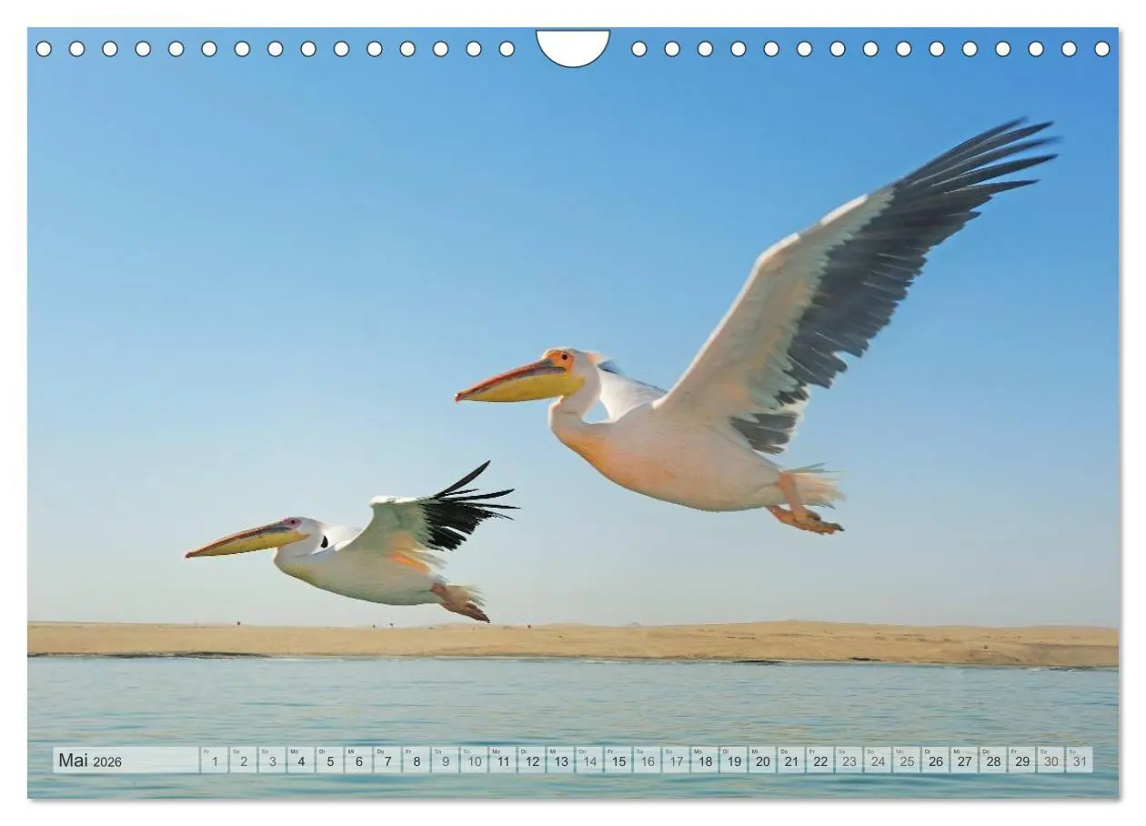 Bild: 9783516239256 | Afrikas Tierwelt Christian Heeb (Wandkalender 2026 DIN A4 quer),...