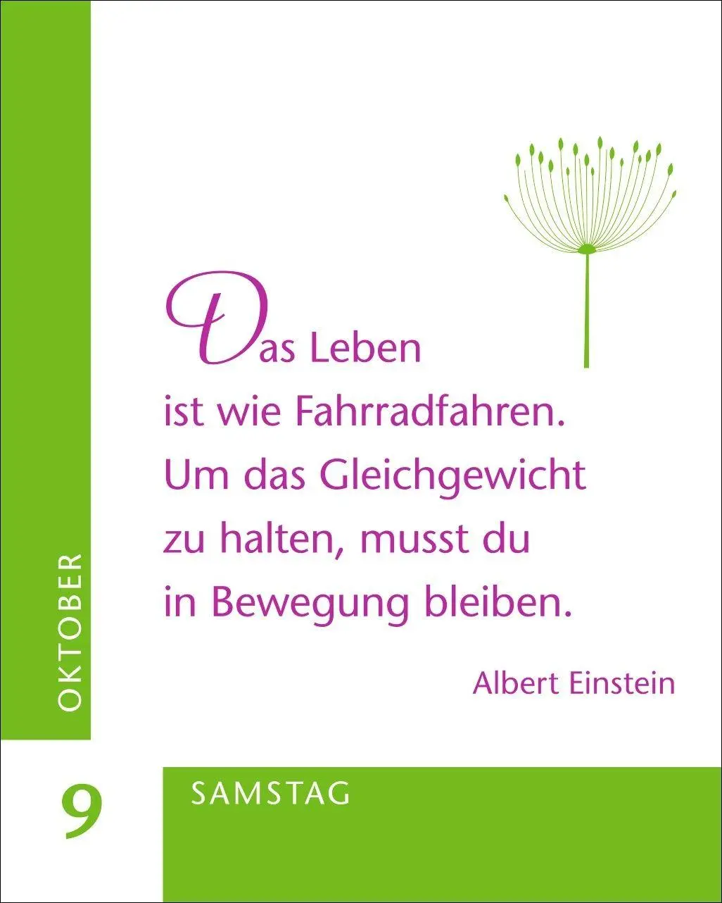 Bild: 9783840039256 | 365 Wünsche für dich Mini-Geschenkkalender 2027 | Cornelia Sonnleitner