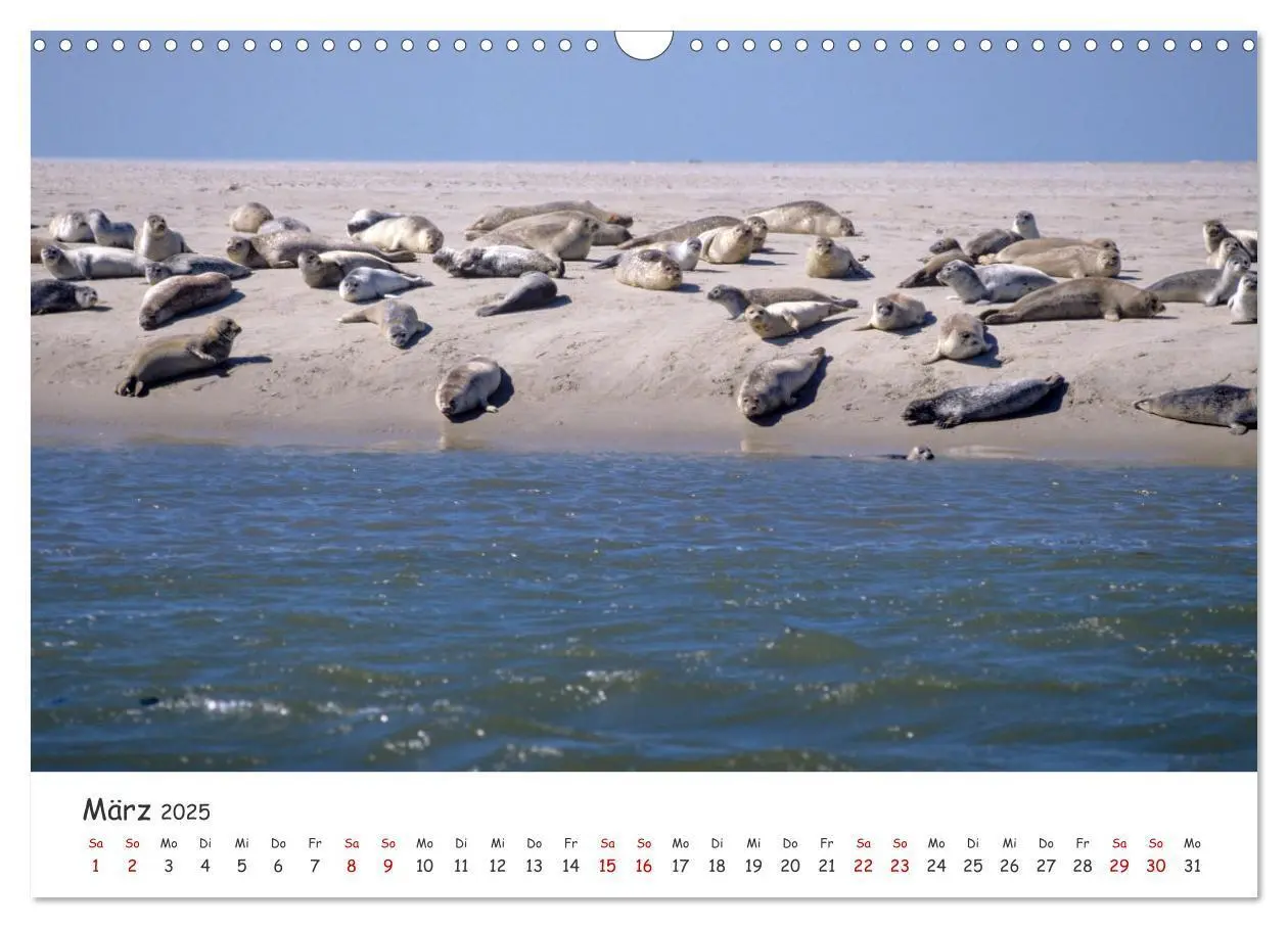 Bild: 9783435979356 | Nordsee, Meer, Strand und Wind (Wandkalender 2025 DIN A3 quer),...