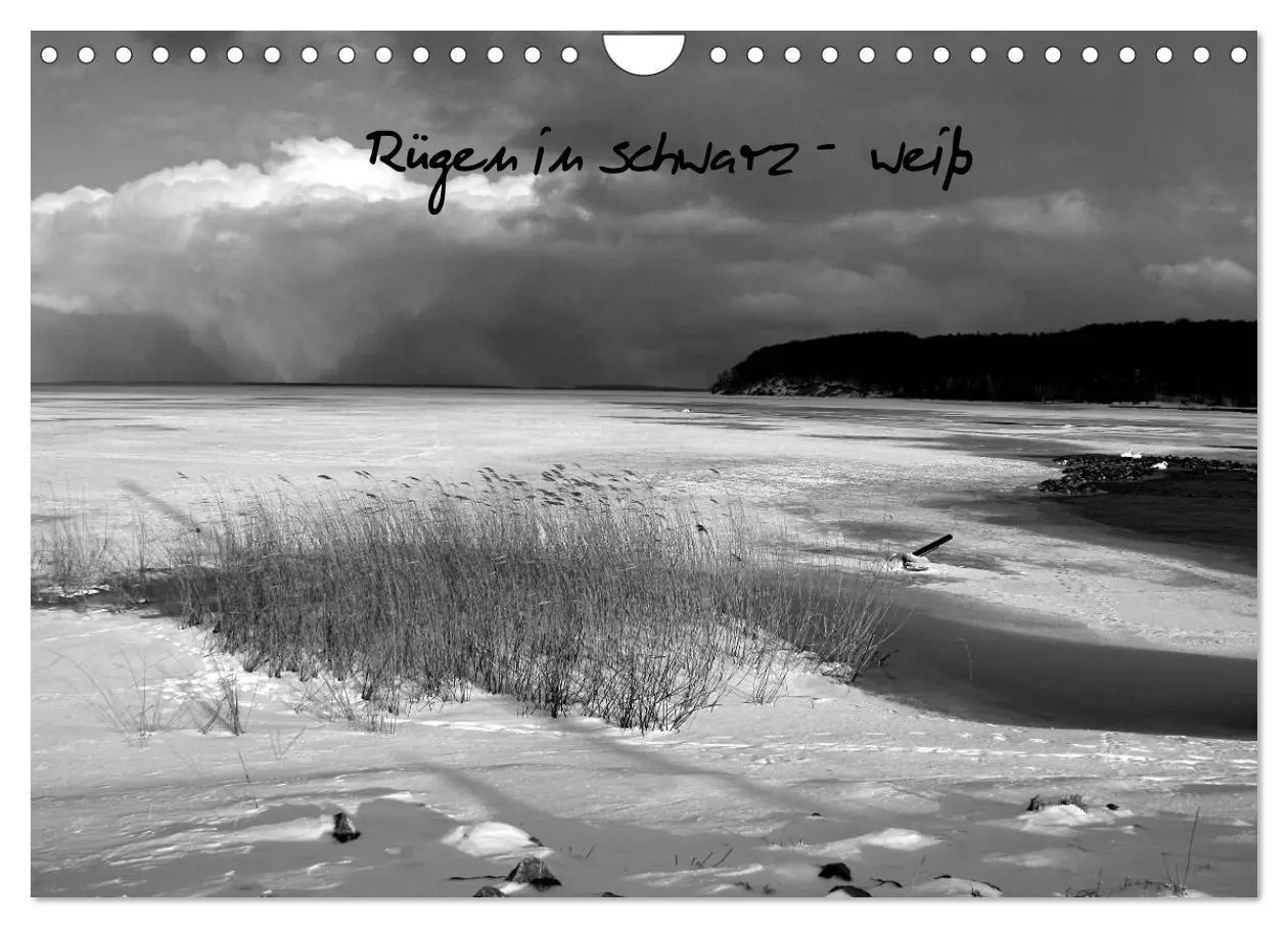Cover: 9783516229356 | Rügen in schwarz-weiß (Wandkalender 2026 DIN A4 quer), CALVENDO...