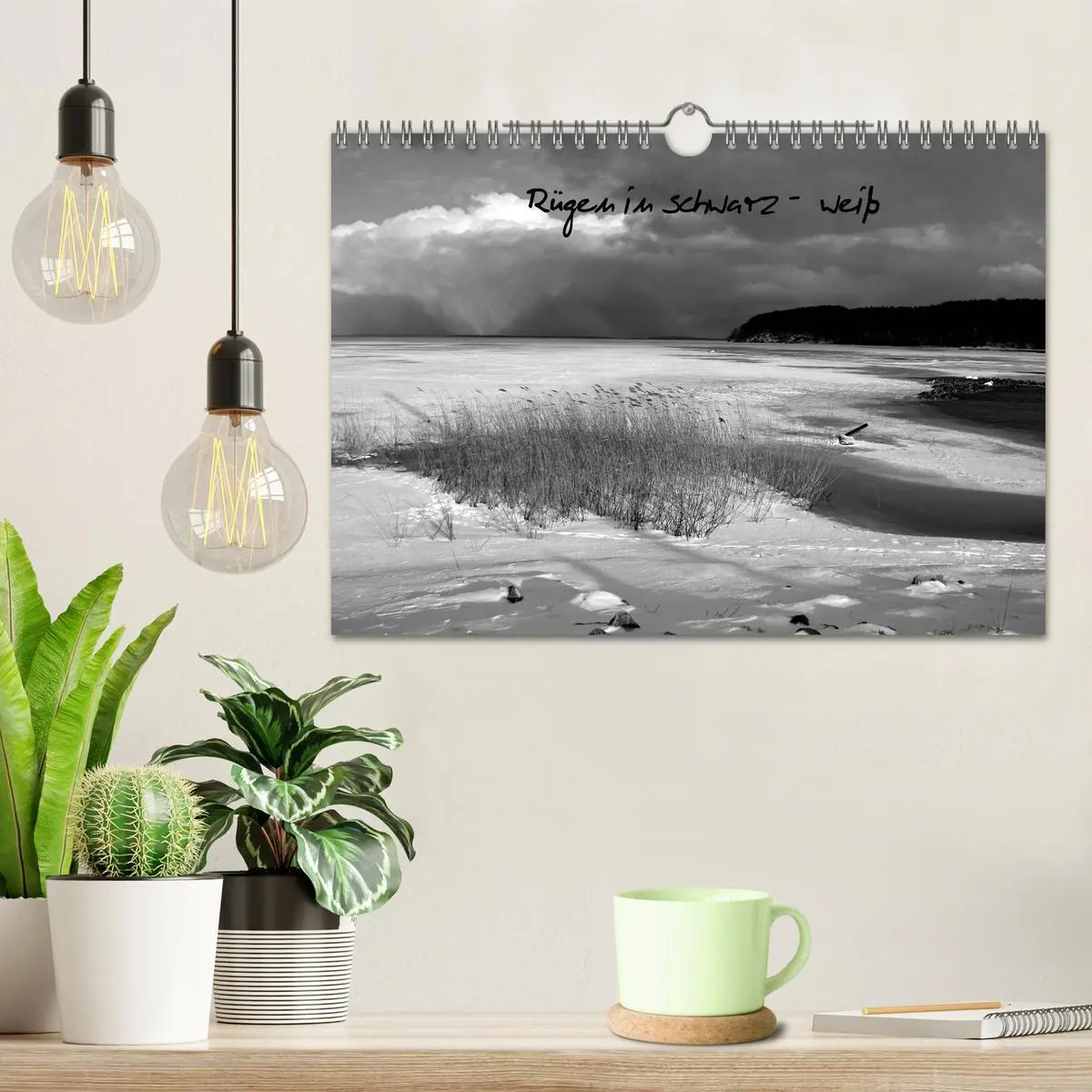 Bild: 9783516229356 | Rügen in schwarz-weiß (Wandkalender 2026 DIN A4 quer), CALVENDO...