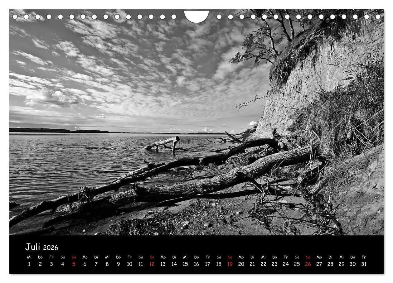 Bild: 9783516229356 | Rügen in schwarz-weiß (Wandkalender 2026 DIN A4 quer), CALVENDO...