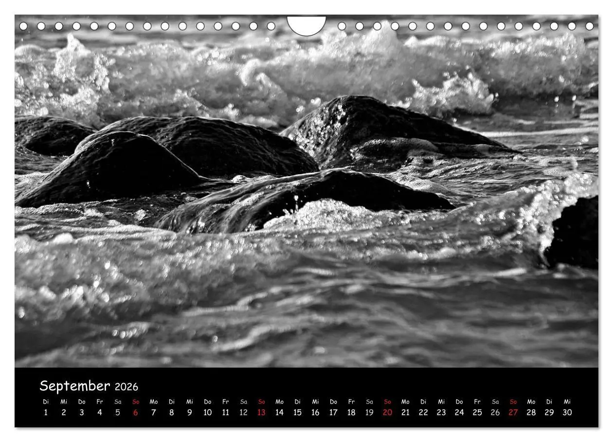 Bild: 9783516229356 | Rügen in schwarz-weiß (Wandkalender 2026 DIN A4 quer), CALVENDO...