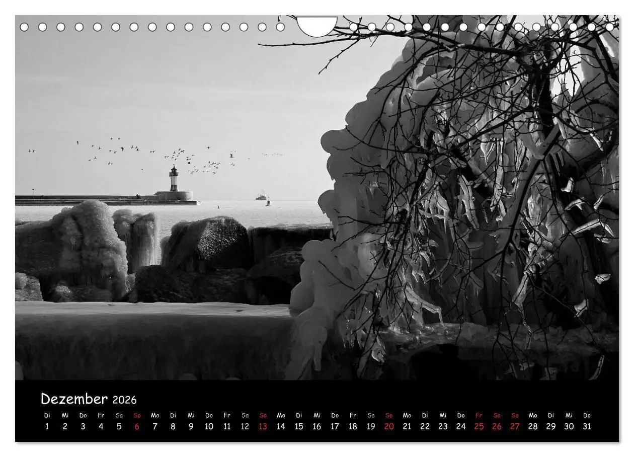 Bild: 9783516229356 | Rügen in schwarz-weiß (Wandkalender 2026 DIN A4 quer), CALVENDO...