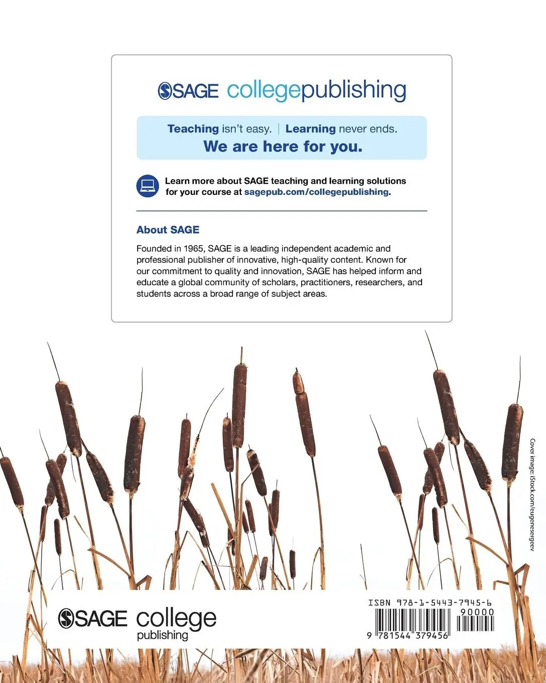 Rückseite: 9781544379456 | Utilization-Focused Evaluation | Michael Quinn Patton (u. a.) | Buch