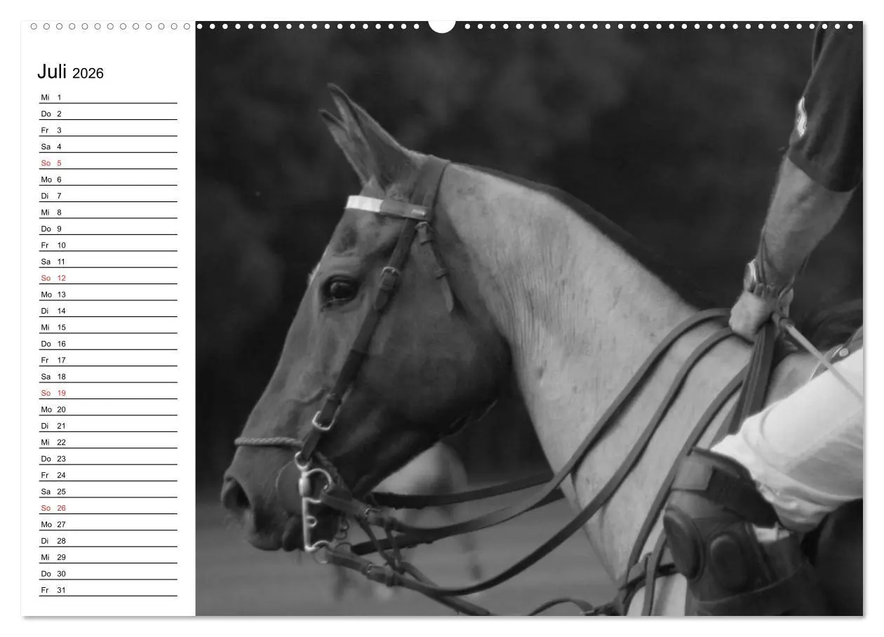 Bild: 9783457989456 | Leidenschaft Pferdesport - Impressionen (hochwertiger Premium...