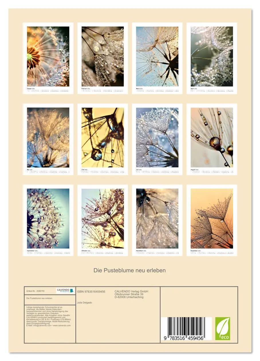 Bild: 9783516459456 | Die Pusteblume neu erleben (Wandkalender 2026 DIN A4 hoch),...