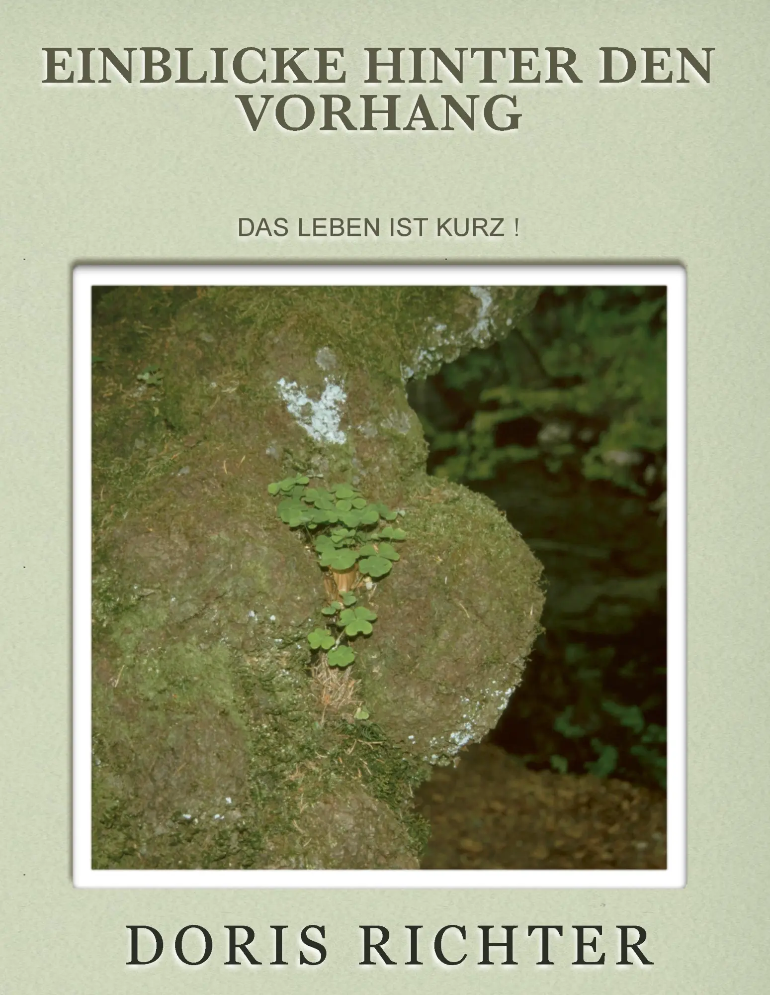 Cover: 9783732279456 | Einblicke hinter den Vorhang | Das Leben ist kurz | Doris Richter