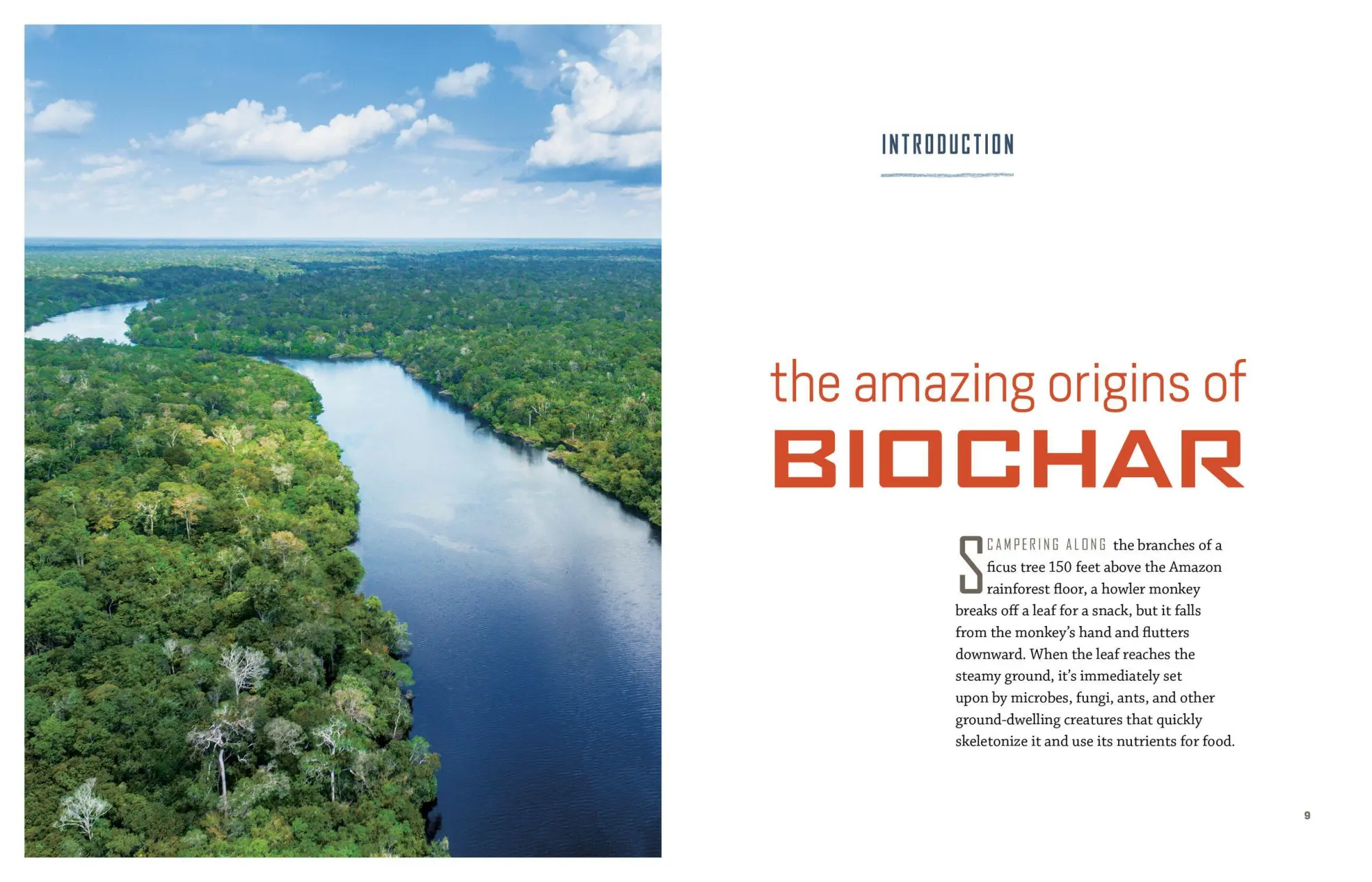 Bild: 9781612129556 | Gardening with Biochar | Jeff Cox | Taschenbuch | Englisch | 2019
