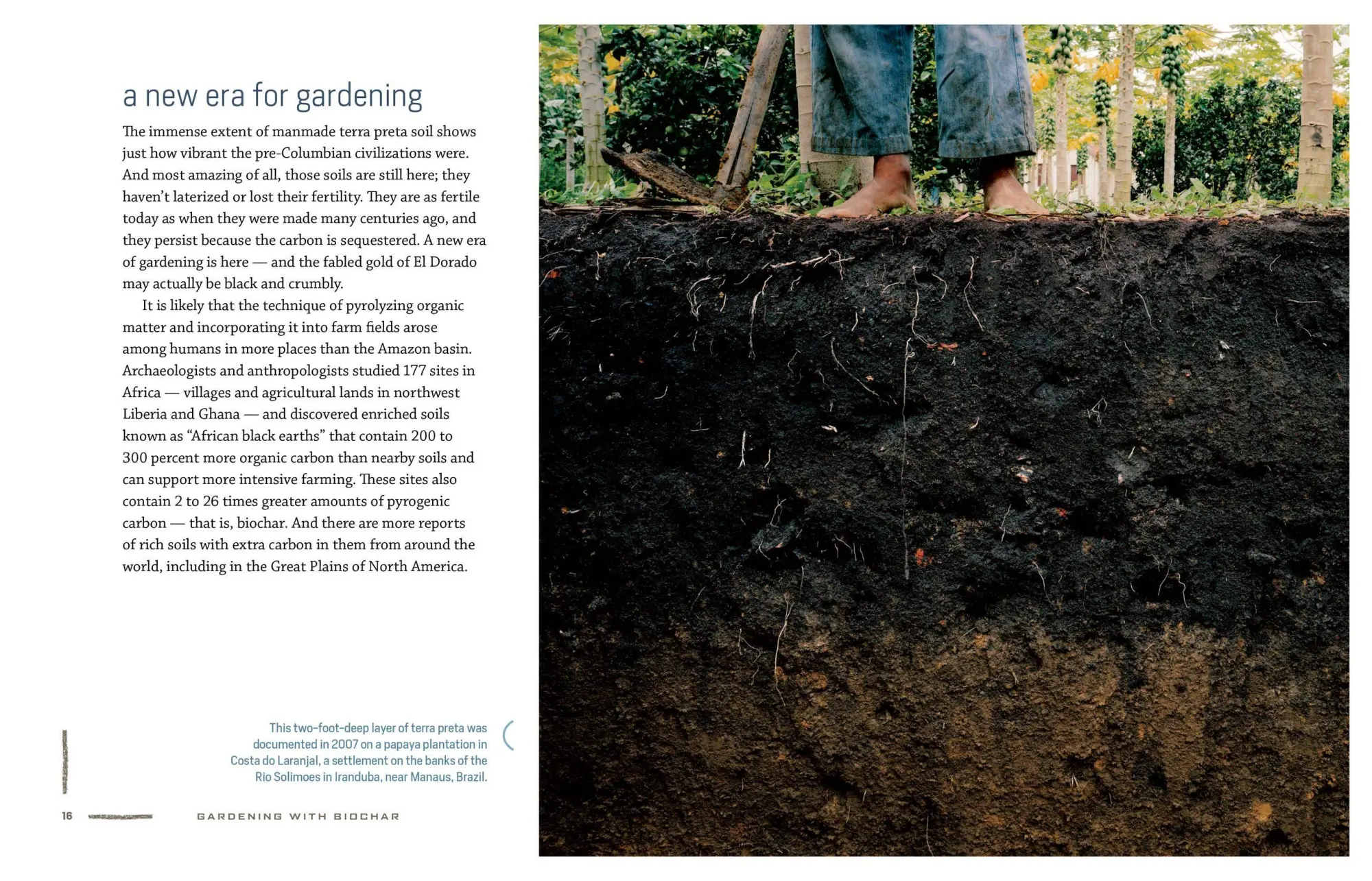 Bild: 9781612129556 | Gardening with Biochar | Jeff Cox | Taschenbuch | Englisch | 2019