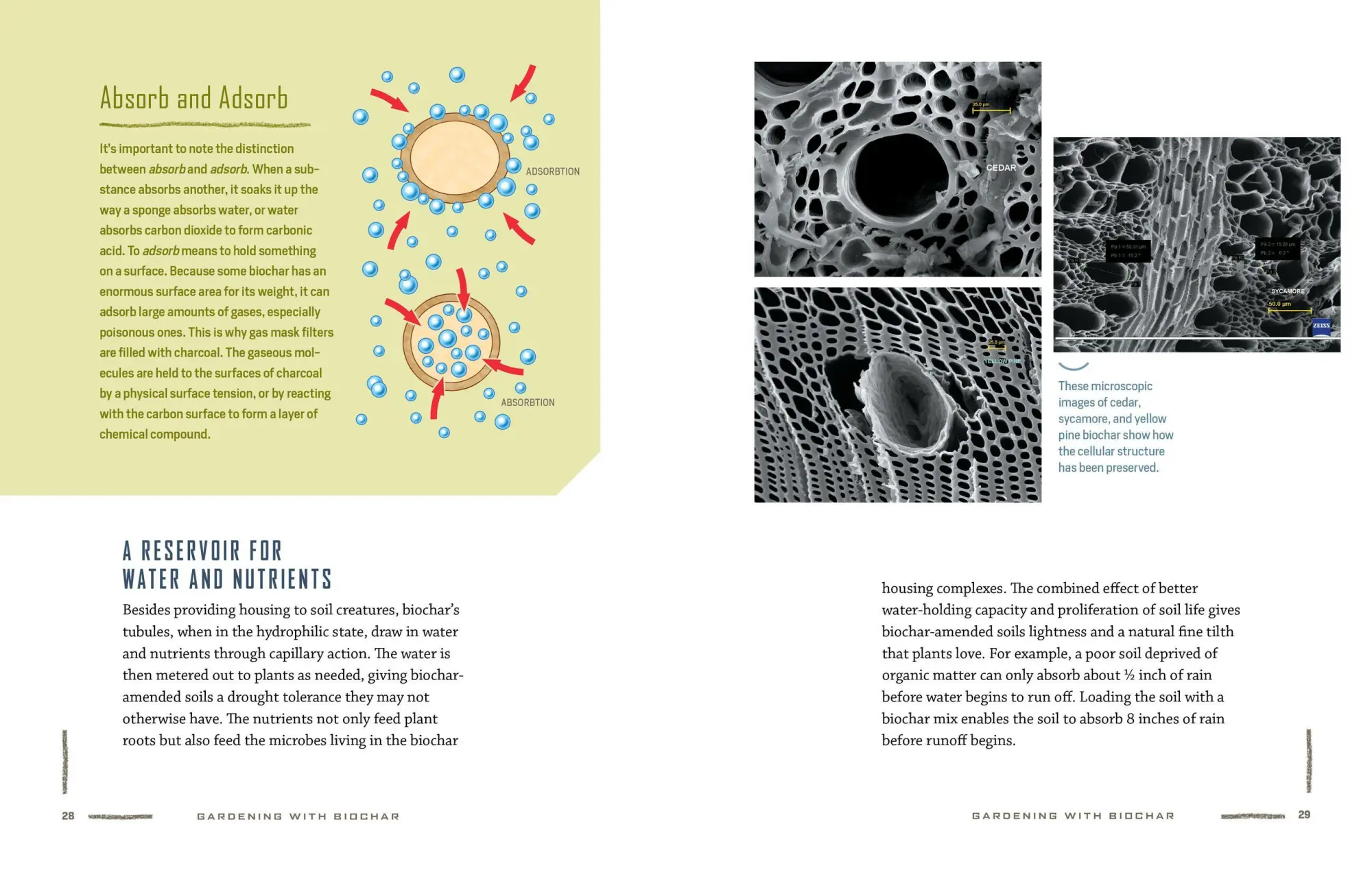 Bild: 9781612129556 | Gardening with Biochar | Jeff Cox | Taschenbuch | Englisch | 2019