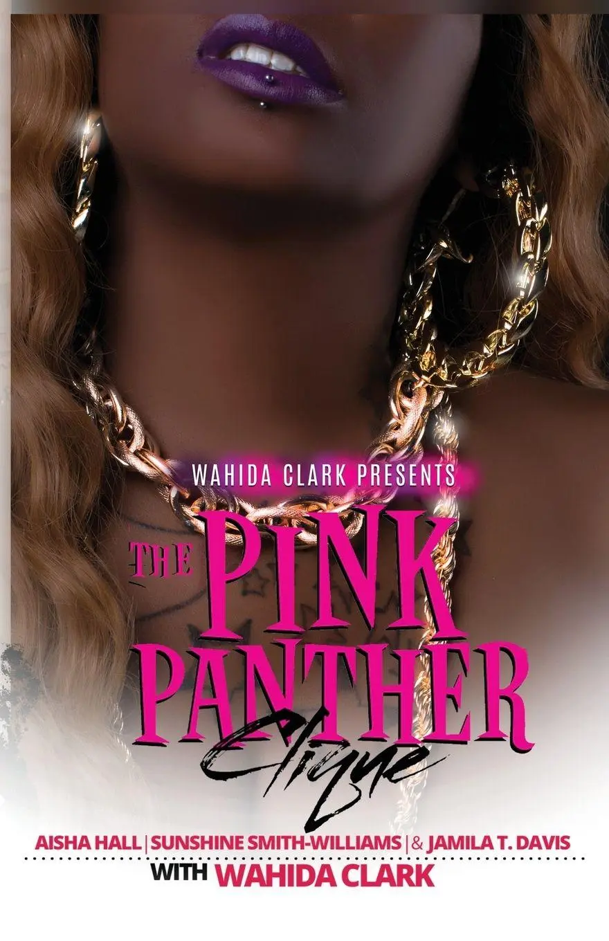 Cover: 9781936649556 | The Pink Panther Clique | Aisha Hall (u. a.) | Taschenbuch | Englisch
