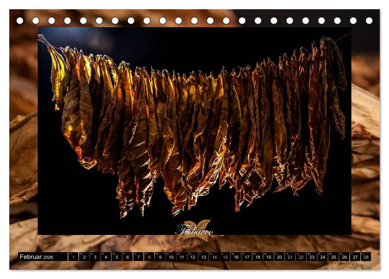 Bild: 9783457979556 | Tobacco - Genuss und Flair der Tabakkultur (Tischkalender 2026 DIN...