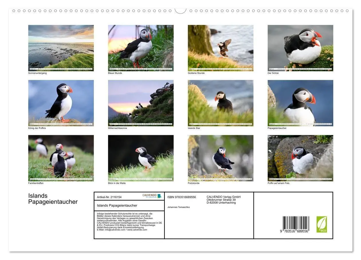 Bild: 9783516689556 | Islands Papageientaucher (hochwertiger Premium Wandkalender 2026...