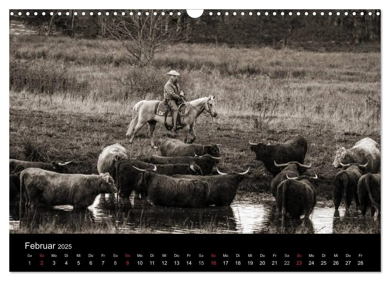 Bild: 9783435569656 | Westernreiten (Wandkalender 2025 DIN A3 quer), CALVENDO Monatskalender