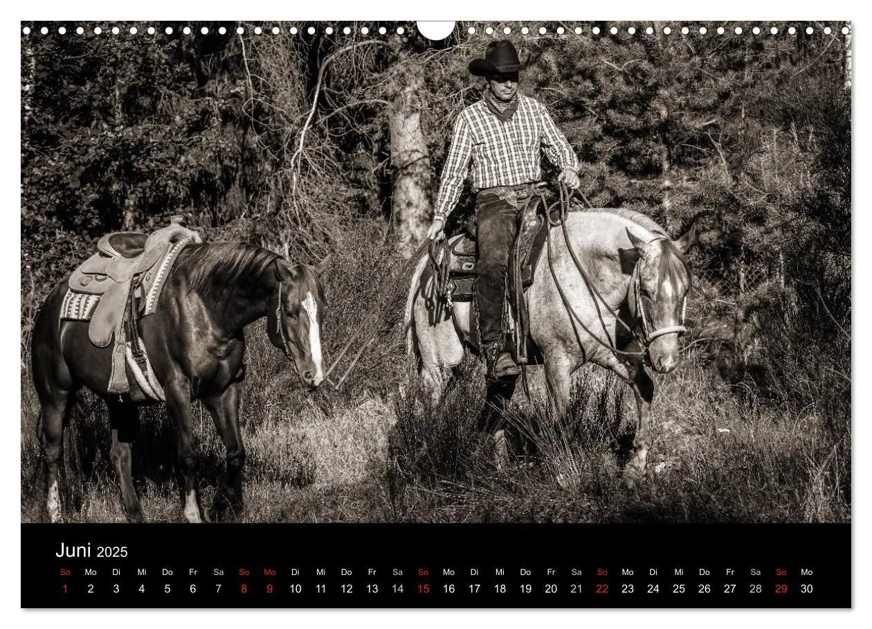 Bild: 9783435569656 | Westernreiten (Wandkalender 2025 DIN A3 quer), CALVENDO Monatskalender