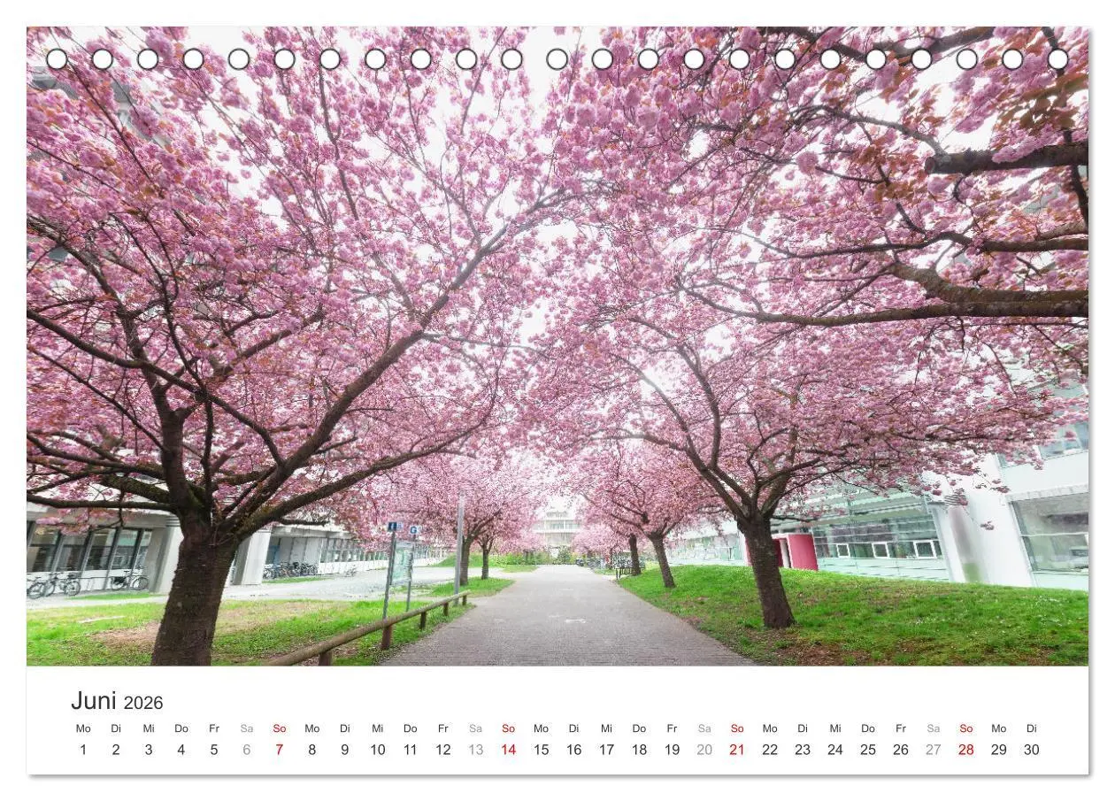 Bild: 9783457269756 | Heidelberg im Fokus (Tischkalender 2026 DIN A5 quer), CALVENDO...