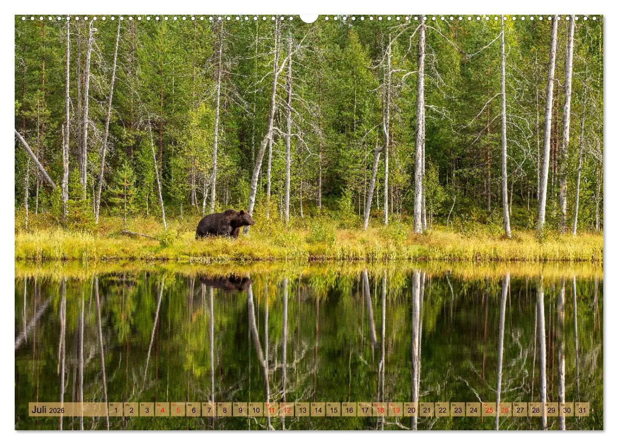 Bild: 9783457409756 | Wildes Finnland (Wandkalender 2026 DIN A2 quer), CALVENDO...