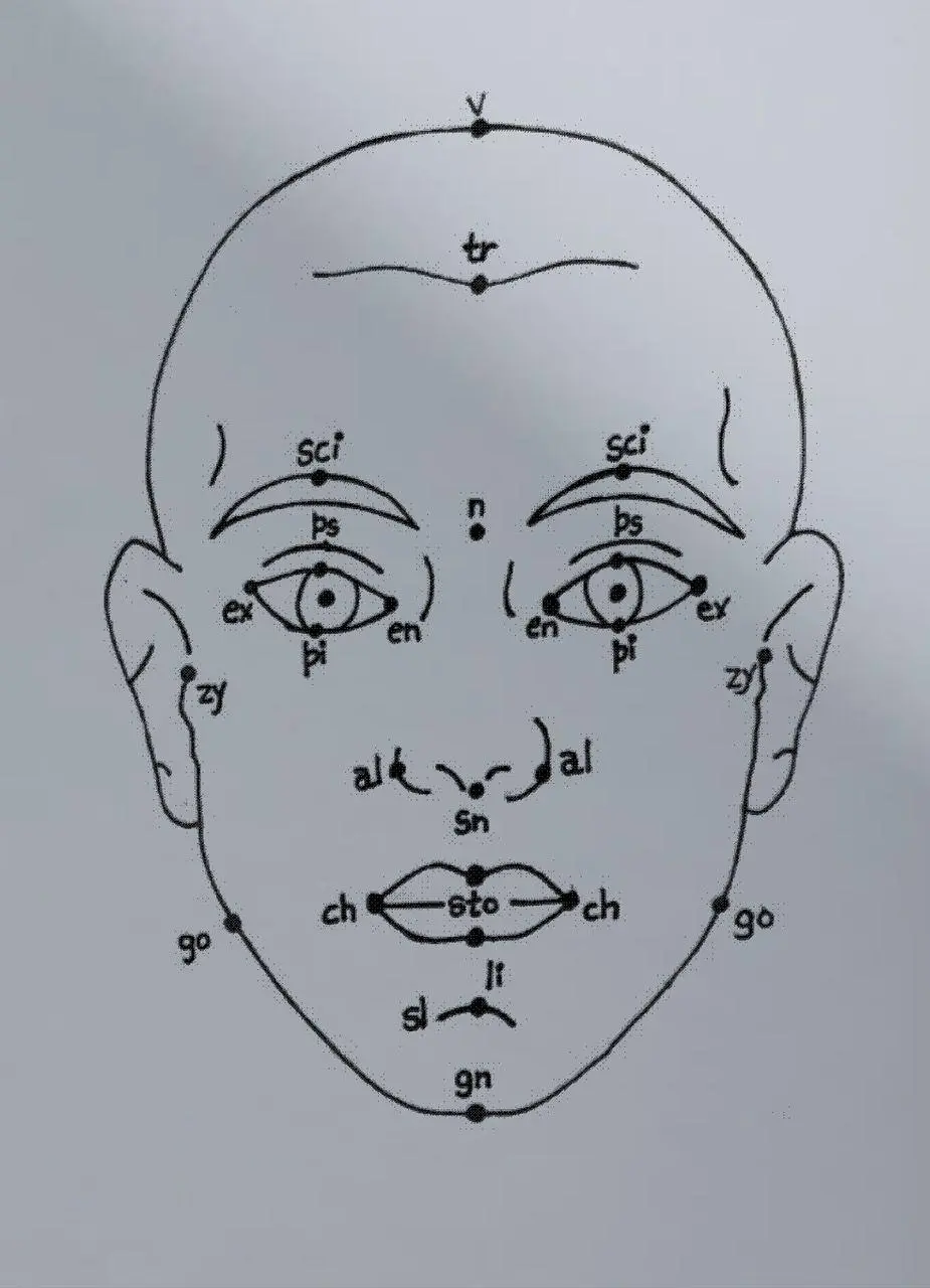 Cover: 9783959059756 | Megan Williams, Sheung Yiu: (Inter)Faces of Predictions | Taschenbuch