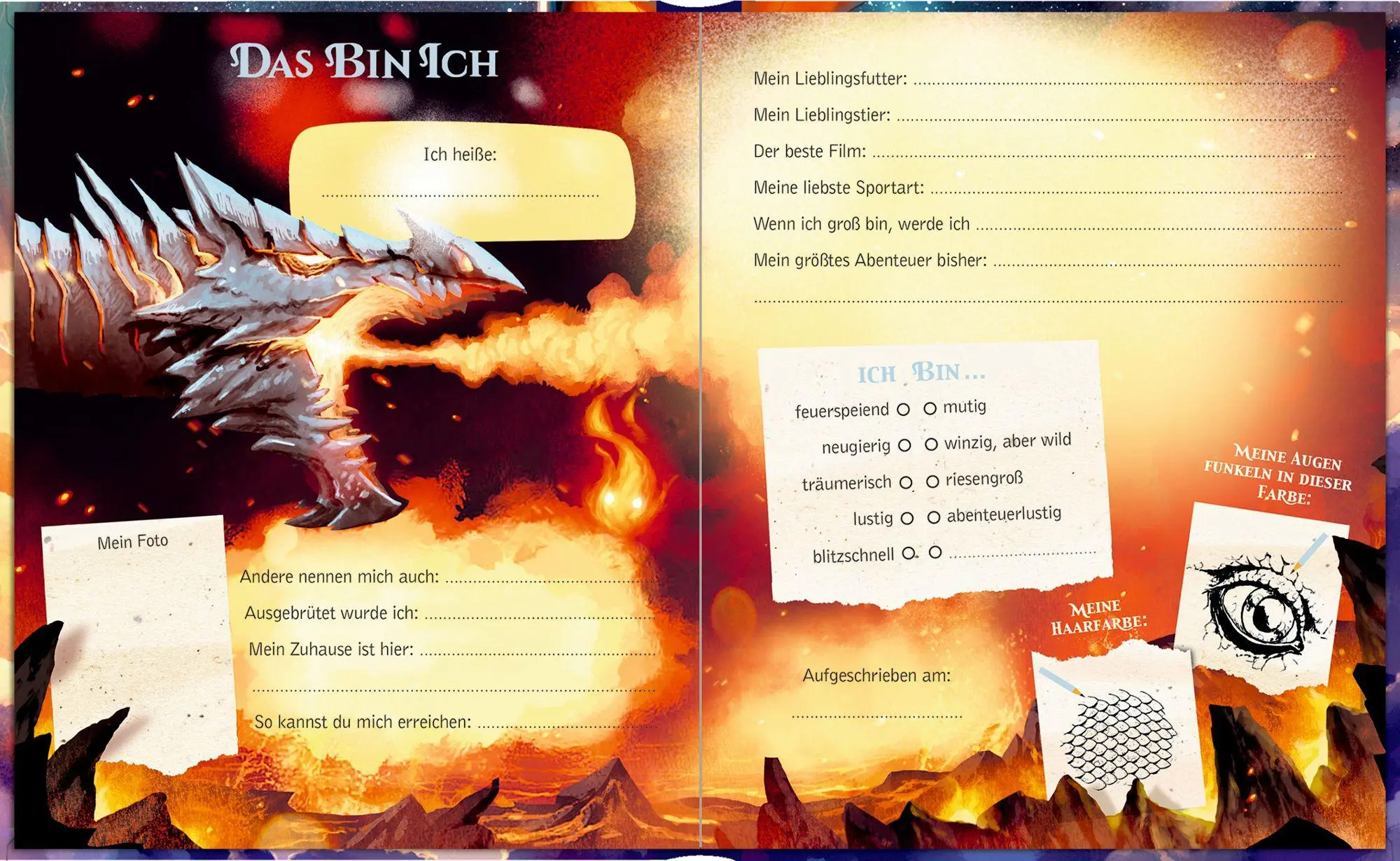 Bild: 4050003959856 | Freundebuch - Meine Freunde | Drachen | Helge Vogt | Buch | 96 S.