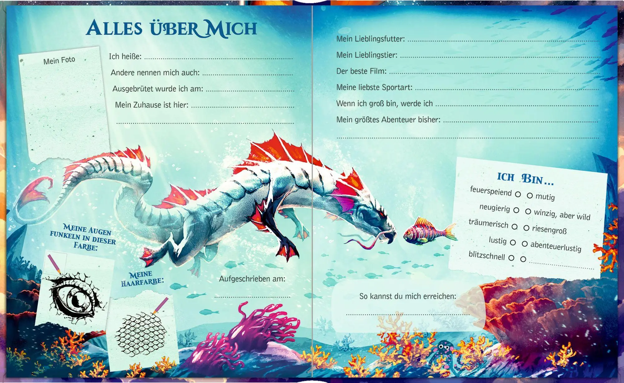 Bild: 4050003959856 | Freundebuch - Meine Freunde | Drachen | Helge Vogt | Buch | 96 S.