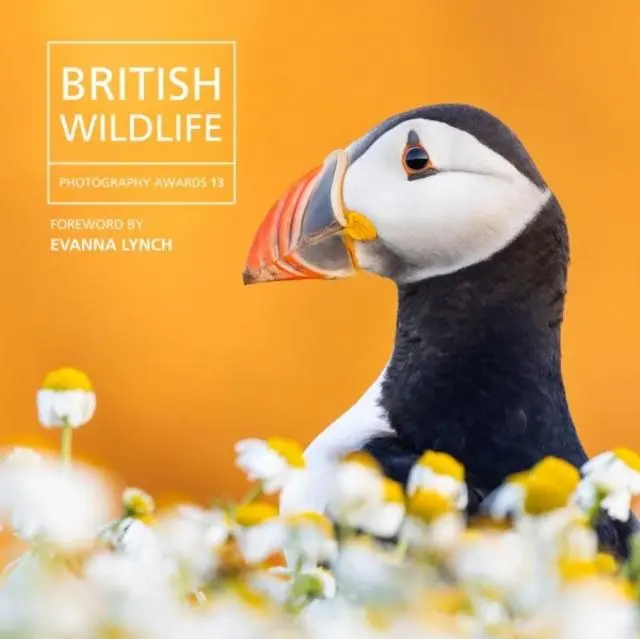 Cover: 9781802589856 | British Wildlife Photography Awards 13 | Will Nicholls | Buch | 2025
