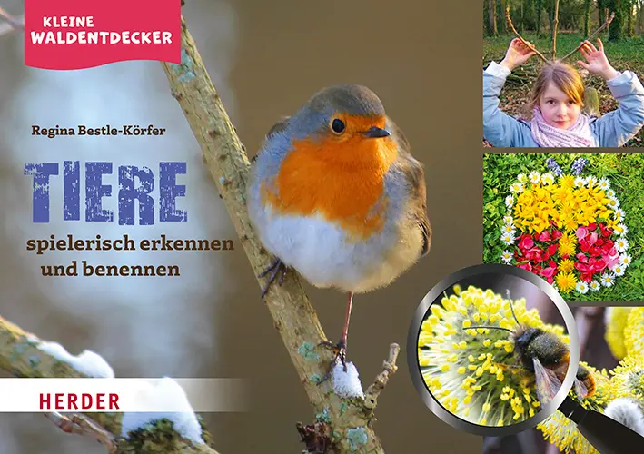 Cover: 9783451389856 | Kleine Waldentdecker: Tiere | spielerisch erkennen und benennen | Buch