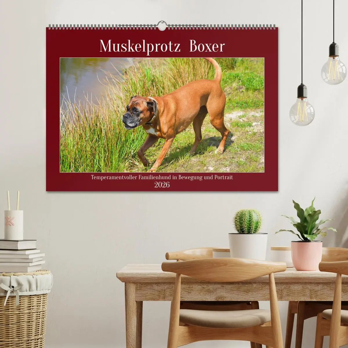 Bild: 9783457569856 | Muskelprotz Boxer (Wandkalender 2026 DIN A2 quer), CALVENDO...