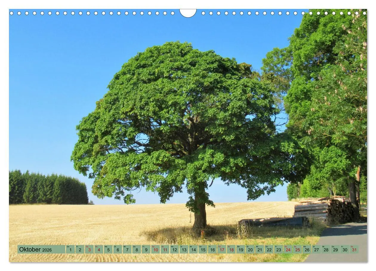 Bild: 9783457559956 | Frankenwald - Wandern in Oberfranken und Thüringen (Wandkalender...