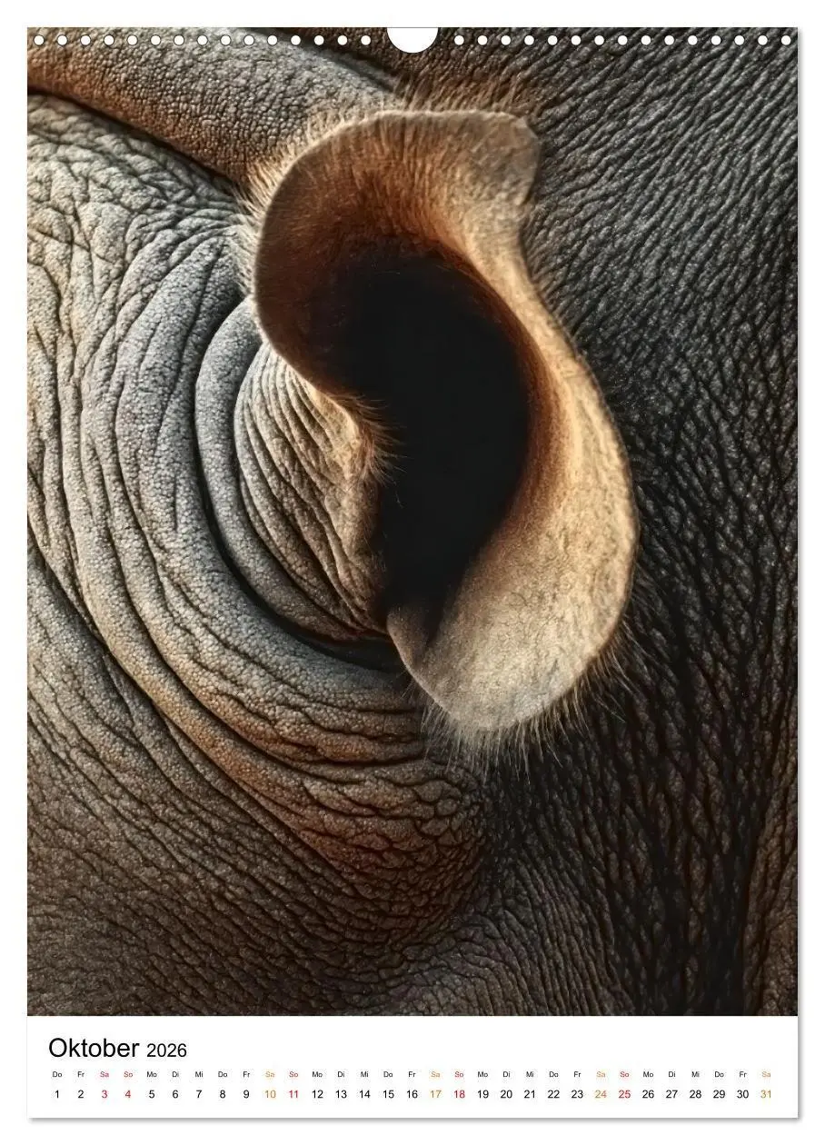 Bild: 9783516719956 | Nashorn - Stark. Stur. Schnell. (Wandkalender 2026 DIN A3 hoch),...